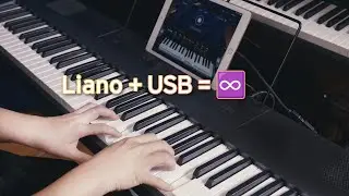 KORG Liano + USB = ∞ | Explore musical possibilities with this 6 KG 88-key portable digital piano