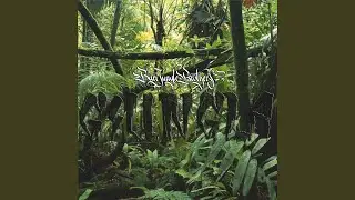 Je so Rap