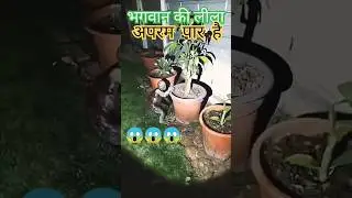 #goa#ghost#nanded#parbhani#bhoot#latur#parali#pune#kandhar#horror#nashik#hadal#bhut