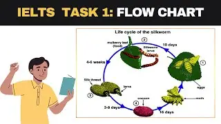 IELTS WRTING TASK 1: FLOW CHART