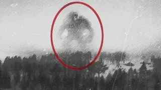 7  Absonderlich Fotos des 2. Weltkrieges