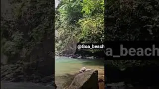 Savari Waterfalls #goa #waterfall #goawaterfall #nature #mansoon #barish #shortvideo #ytshorts