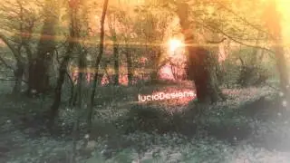 LucidDesigns | 2010