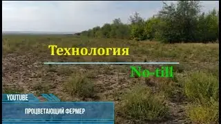 Озимая рожь 2021 технология No-til