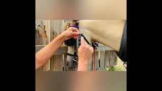 How to Measure Driving Bridle Cheek Pieces