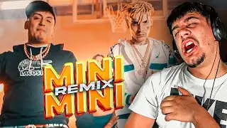 (REACCI&Oacute;N) MINI MINI RMX