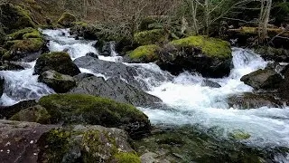 Pure Audio Sleep Therapy | No Light Waterfall Ambience