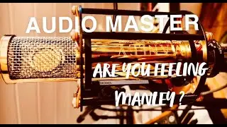 AUDIO MASTER//ARE YOU  FEELING A LITTLE MANLEY?//REFERENCE GOLD CONDENSER MICROPHONE.