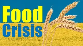 How The War in Ukraine Will Affect Third World Food Prices