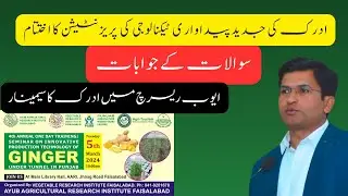 Questions & Answers in Ginger Seminar | Ginger Pakistan| Amir Latif| VRI| AARI| @AgricultureOnline1