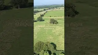 Mx Quicksilver Morning Flight 8/29/2023 B