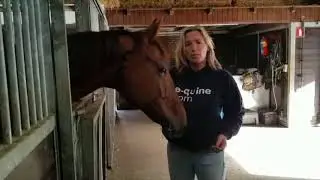 Vlog 5 e-quine.com - Over grondwerk, loswerken en alles wat erbij hoort!