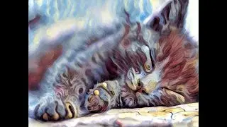 PRISMA Art Filters
