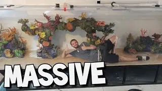 1800 Gallon Monster Tank: Part 1 -Building a Masterpiece (The Tanked Show - Bellagio Tanks)