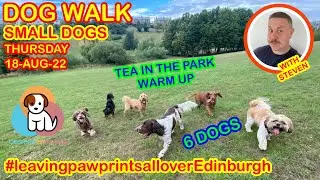 Tea in the Park (warm up) | Dog Walk | Small Dogs | Highlights | #dogs #DogWalk #GoPro | 18/08/22