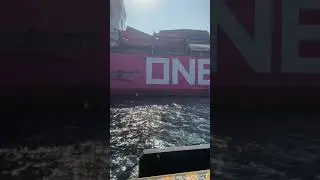 One apus was hit by waves and over 1800 containers fell down to ocean.