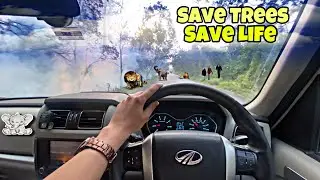 Save Trees 🌴 , Save Life 🙏🏻 ❤️ || Scorpio Status Video 🔥 || Masup Songs❣️