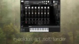 8Dio Insolidus Teaser 3