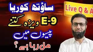 پاکستان میں ساؤتھ کوریا E-9 ویزہ کتنے پیسوں میں مل رہا ہے ؟