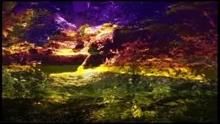 Wayfaring Stranger Performance Video Track