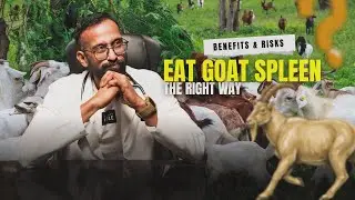 🌟 Goat Spleen (Suvarotti) &mdash; Power Nutrition in Small Bites!