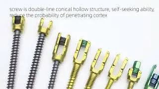 Spinal pedicle screw