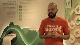 Museo del Caf&eacute;. Mesa de Museos de Medell&iacute;n