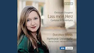 Reiner Geist, lass doch mein Herz, GWV 1138/11: No. 1, Reiner Geist, lass' doch mein Herz