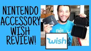 WISH NINTENDO 2DS ACCESSORIES REVIEW! CASE AND STYLUS FROM WISH APP!