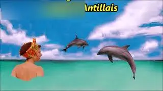 T'y es (sous les cocotiers) avec chant