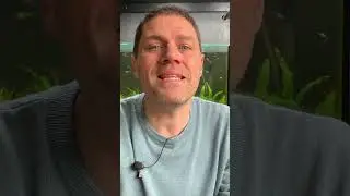 $$$ Топ-5 рыб для разведения с целью получения прибыли $$$