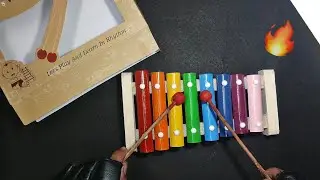 Can I Play The Xylophone 🎹 | Xylophone Toy | Xylo