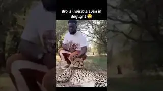 Just memes 5