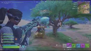 Victory Royale!!!