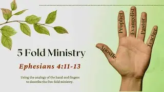 Five Fold Ministry Gifts and Vital Organs