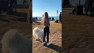 Vibes of the Tel Aviv Promenade. Israel 2026