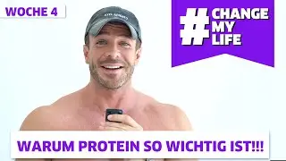 Fangt an mehr Protein zu essen! Darum so wichtig!