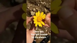 A message from your person 🤩😘💞😚🥰💕