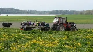 Kosl&auml;pp S&auml;llinge S&auml;teri
