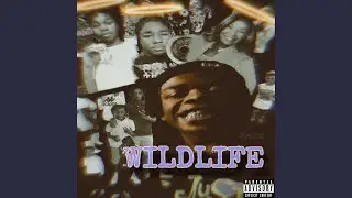 Sharks N Wolves (feat. 3wayyy & 1wolf)
