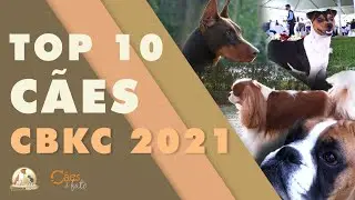Ranking CBKC 2021 | Cinofilia Digital