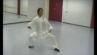 Chen Style Taijiquan Xinjia Yilu