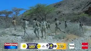 Ciidanka Amniga ee Puntland oo fuliyey howgal ka dhan ah daacish ayaa ka sameeyeen  qeybo kamid ah..