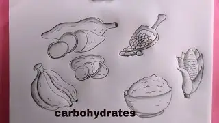 how to draw carbohydrate food step by step