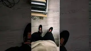 PHARAOH - Snippet 14.01.2020
