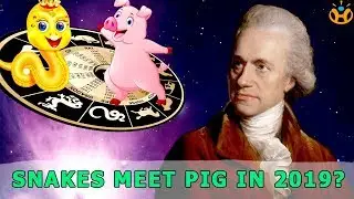 What happens when SNAKES meet PIGS in 2019? - Know Everything