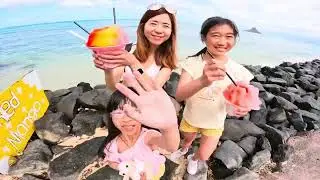 2024 Summer - Hawaii and Okinawa