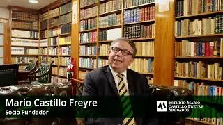 Carga de la prueba de los da&ntilde;os y perjuicios - Mario Castillo Freyre