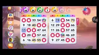 Playing bingo blitz 