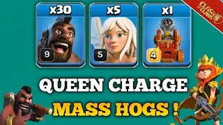 Th11 Queen Charge Hog Riders Attack Strategy || Th11 Mass Hogs || Th11 Hog Attack || Clash Of Clans